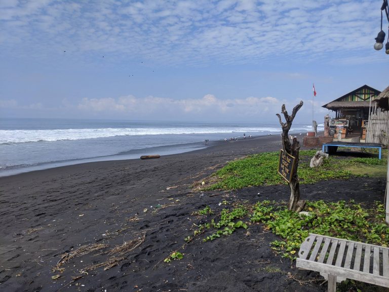 IMG 20200813 094622 min 768x576