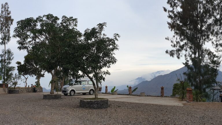 20211026 173938 cropped min 768x432